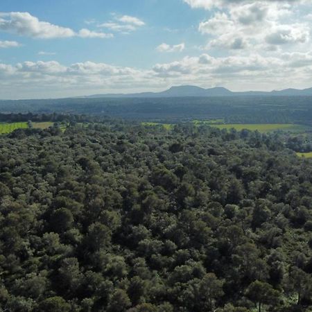 Magnifica Villa Tranquila En El Centro De Mallorca Biniali  Kültér fotó