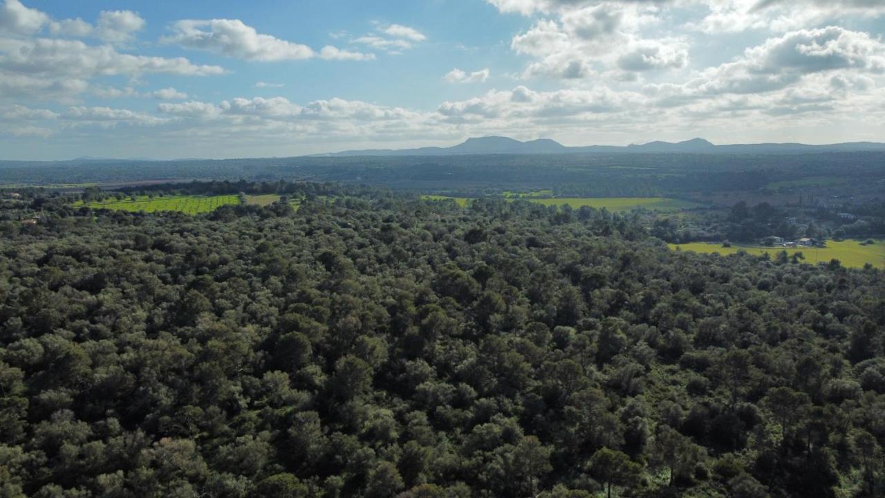 Magnifica Villa Tranquila En El Centro De Mallorca Biniali  Kültér fotó